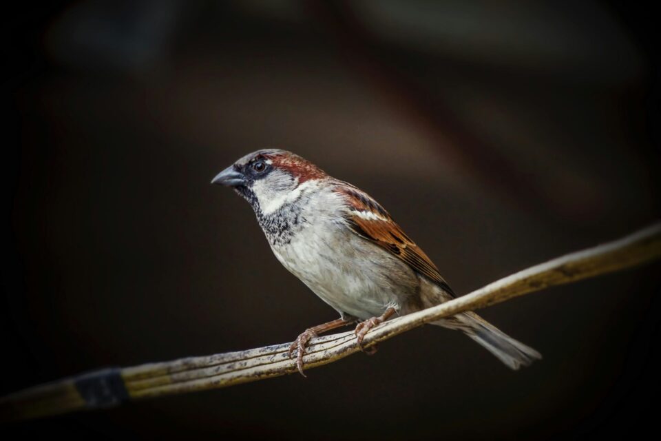 carlos-quintero-J_9etWzDwTA-unsplash
