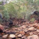 riverbed, path, stony