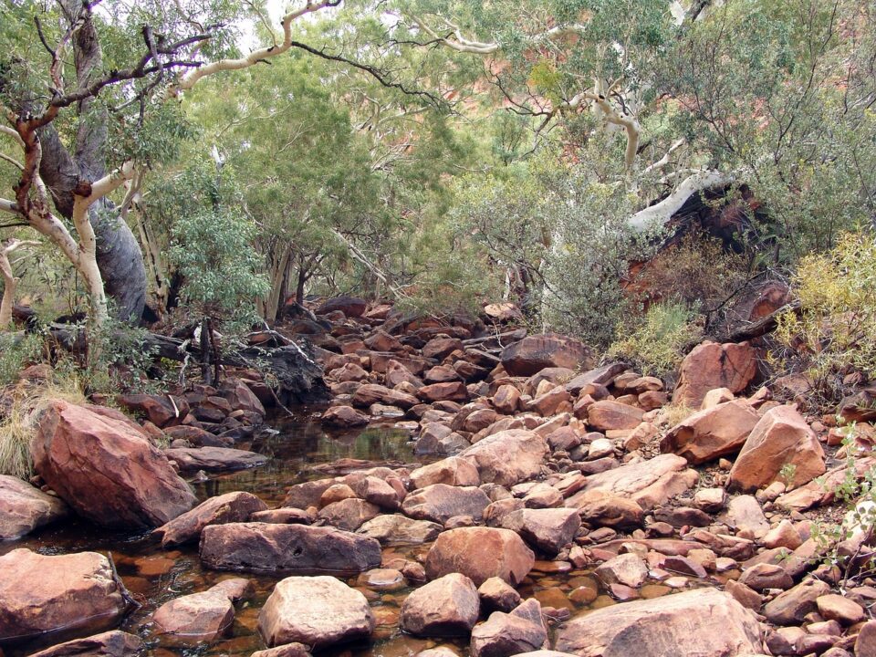 riverbed, path, stony