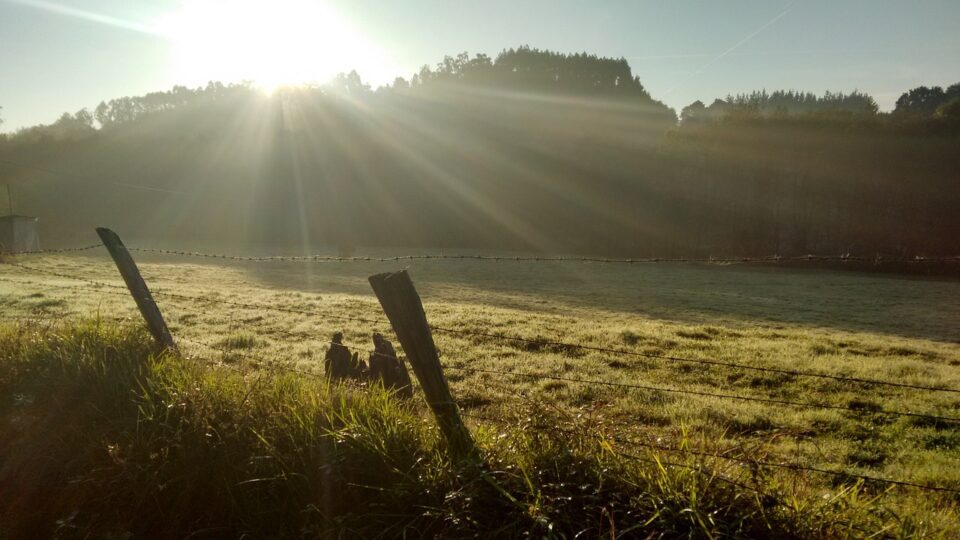 sun, rays, about