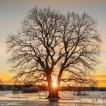 Free stock photo of 4k, estonian nature, HD wallpaper