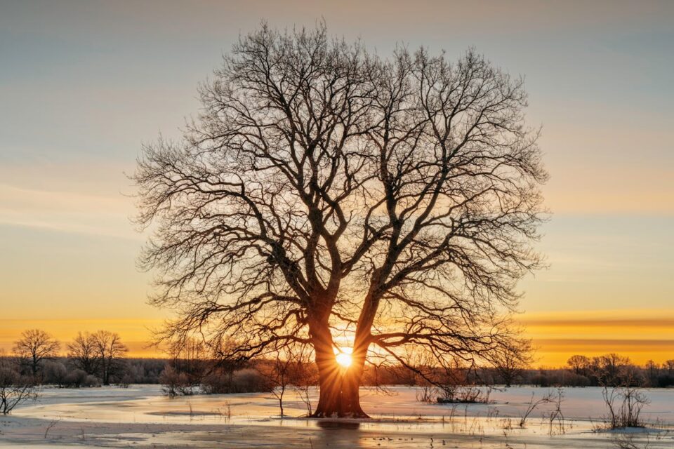 Free stock photo of 4k, estonian nature, HD wallpaper