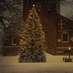 christmas tree, holiday, season