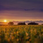 sun, sunrise, field, cabin, house, hut, morning, sky, mountains, switzerland, alpine, nature, landscape, sunrise, sunrise, sunrise, house, house, house, morning, morning, morning, morning, morning, switzerland