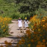 children, girls, flowers, road, tree, forest, nature, flower wallpaper, children, beautiful flowers, flower background, children, children, children, children