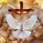 dove, cross, hands, fire, god, trinity, holy, triune, holy spirit, holy ghost, father, son, jesus, church, christian, gold, golden, religion, christianity, faith, worship, prayer, dove, trinity, trinity, trinity, holy spirit, holy spirit, holy spirit, holy spirit, holy spirit, jesus