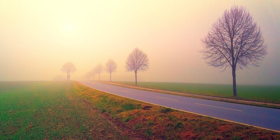 dawn, road, fog, landscape, trees, nature, field, meadow, fields, in the morning, foggy, haze, sunrise, mood, backlighting, morning mood, morning sky, atmospheric, road, road, road, road, road, sunrise
