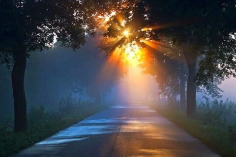 a9a96c1c2643d3bfb29313be5fd91d46