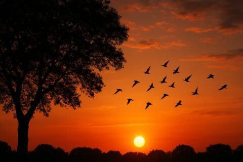 f1f4c53409fee60a698f8953c8b48712