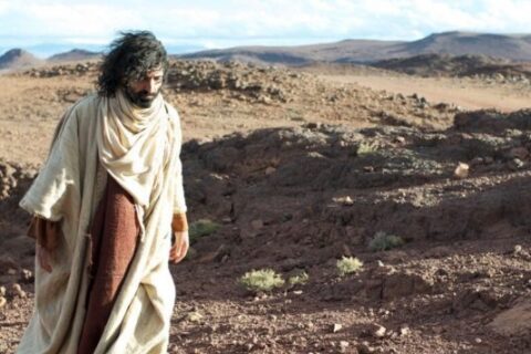 Evanđelje za četvrtak 20 studeni: Kad bi spoznao što je za tvoj mir isus-jeruzalem1-696x413