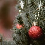 christmas, tree, fir tree, christmas tree, bullet, christmas balls, deco, decoration, red, nature, close up, christmas time, christmas ornament, jewellery, decorate, contemplative, needles, green, christmas, christmas, christmas, christmas tree, christmas tree, christmas tree, christmas tree, christmas tree
