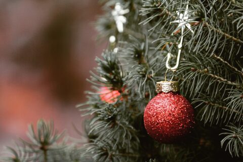 christmas, tree, fir tree, christmas tree, bullet, christmas balls, deco, decoration, red, nature, close up, christmas time, christmas ornament, jewellery, decorate, contemplative, needles, green, christmas, christmas, christmas, christmas tree, christmas tree, christmas tree, christmas tree, christmas tree