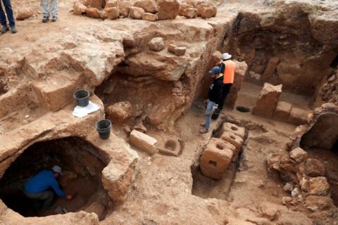 7840a1a4-2f51-4f1e-bd8c-d38865527ee1