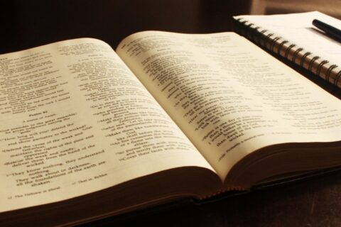 Pročitaj Bibliju u 365 dana: jednostavan plan za svaki dan book-2073023