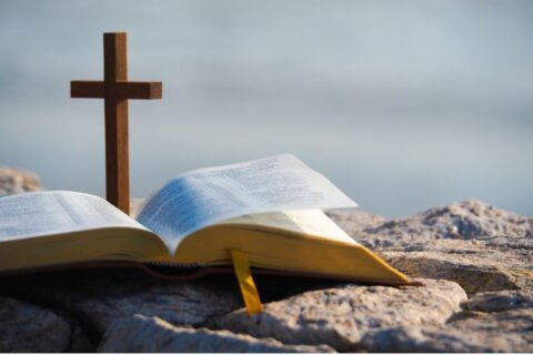 6f0ac6ca168cdd20b03c4f55ab89e0cd