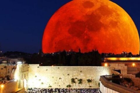 aa1f13326e8977fc8dd26e64e4261da1