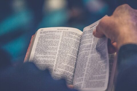 person's hand holding book page