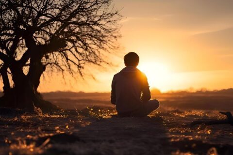 e0798b2a3b184e1b24008725e9db0b42