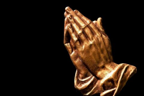 praying hands, faith, hope, religion, pray, folded, trustful, prayer, hands, praying hands, praying hands, praying hands, praying hands, praying hands, pray, pray, prayer, prayer