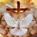 dove, cross, hands, fire, god, trinity, holy, triune, holy spirit, holy ghost, father, son, jesus, church, christian, gold, golden, religion, christianity, faith, worship, prayer, dove, trinity, trinity, trinity, holy spirit, holy spirit, holy spirit, holy spirit, holy spirit, jesus