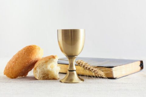 xr:d:DAFgdeCEL3s:4336,j:799786580554173343,t:23072516