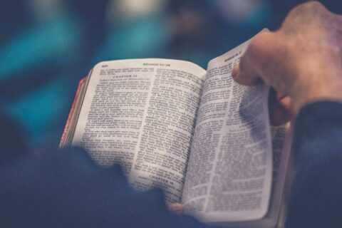 person's hand holding book page