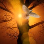 pentecost, holy spirit, christianity