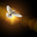 faith, dove, holy spirit