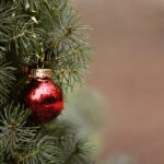 christmas, tree, fir tree