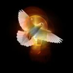 dove, lightbulb, light, pentecost, holy spirit, shining, holy spirit, holy spirit, holy spirit, holy spirit, holy spirit