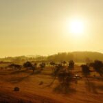 sunrise, landscape, fields, lonely, fall, nature, germany, yellow, sunny, sun, tomorrow