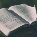 bible, open, book, pages, open bible, psalms, bible reading, faith, religion, prayer, bible verses, chapter, knowledge, literature, outdoors, text, verses, wisdom, bible, bible, bible, bible, bible