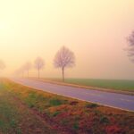dawn, road, fog, landscape, trees, nature, field, meadow, fields, in the morning, foggy, haze, sunrise, mood, backlighting, morning mood, morning sky, atmospheric, road, road, road, road, road, sunrise