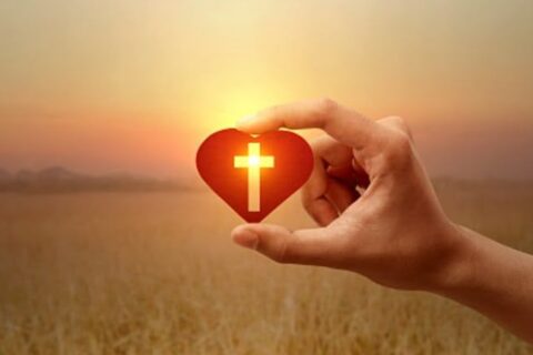 d1dcbc493bbfd027bba4ba96d41ee685