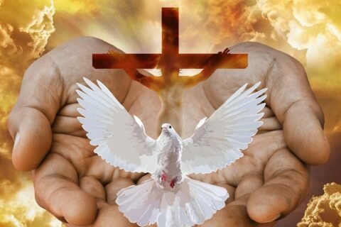 dove, cross, hands, fire, god, trinity, holy, triune, holy spirit, holy ghost, father, son, jesus, church, christian, gold, golden, religion, christianity, faith, worship, prayer, dove, trinity, trinity, trinity, holy spirit, holy spirit, holy spirit, holy spirit, holy spirit, jesus
