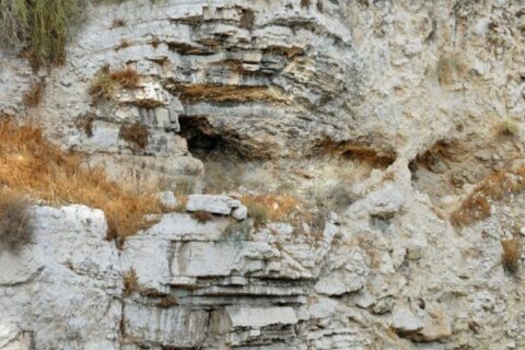 Nevjerojatna priča o Kovčegu saveza i Kristovoj krvi analiza-tragova-krvi-ispod-golgote-book-evangelizacija-990x658-1-990x600-1-768x465.jpg