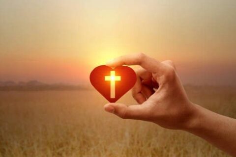 ce3d443c8d2e9f03f82155ad196ea629