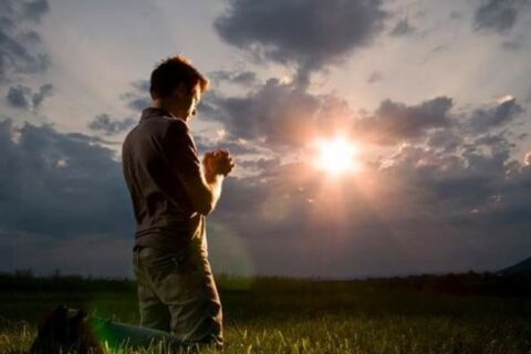 d8c3d168eec4489ae866074d75b7d6fc