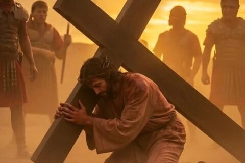 e1a5f3d4372083436273344d1c5d2eb5