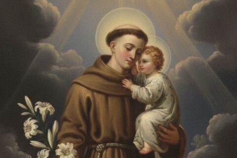 e823ad81c08914d06606ea47f78436a3