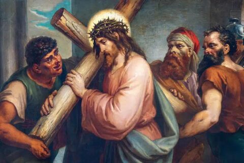 ec96c1790c9e26d1e070c5001525d386