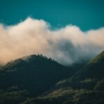 a mountain covered in clouds and trees under a blue sky