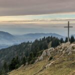 gray cross near tall green trees