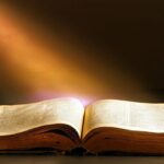 literature, wisdom, book, book bindings, knowledge, brown book, brown books, brown knowledge, wisdom, wisdom, wisdom, wisdom, wisdom