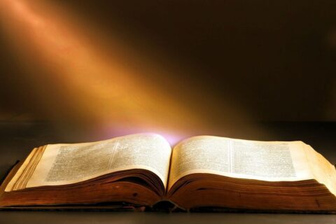 literature, wisdom, book, book bindings, knowledge, brown book, brown books, brown knowledge, wisdom, wisdom, wisdom, wisdom, wisdom