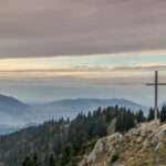 gray cross near tall green trees