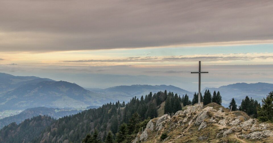 gray cross near tall green trees