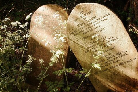 Deset Božjih zapovijedi: Što nam Bog danas želi poručiti? brown wooden heart shaped stone