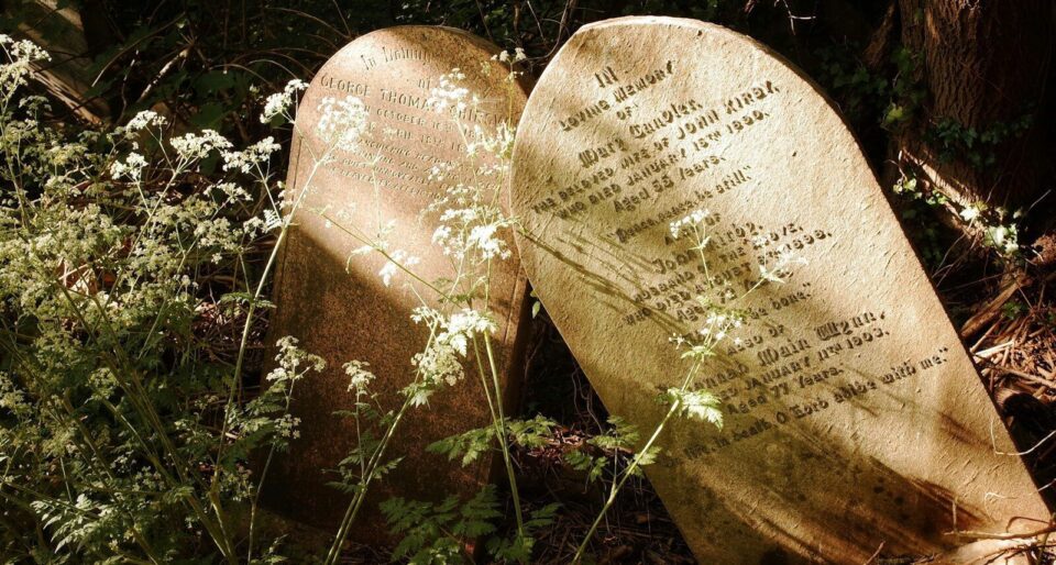 brown wooden heart shaped stone