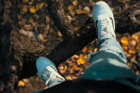 person standing on tree branch